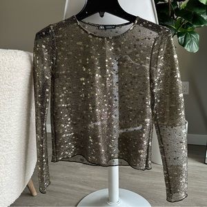 Zara Metallic Thread Semi Sheer Long Sleeve Top